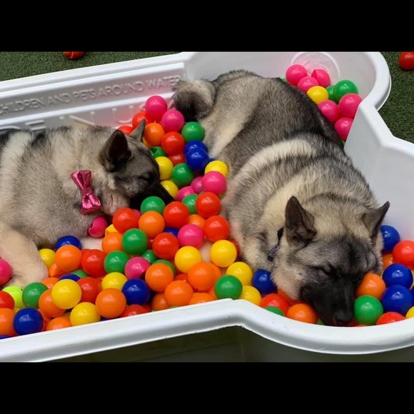 Meet your Posher, Janet - Picture 4 of 10